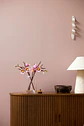 LEGO: Botanicals - Ramas de Magnolia - Miniatura 9