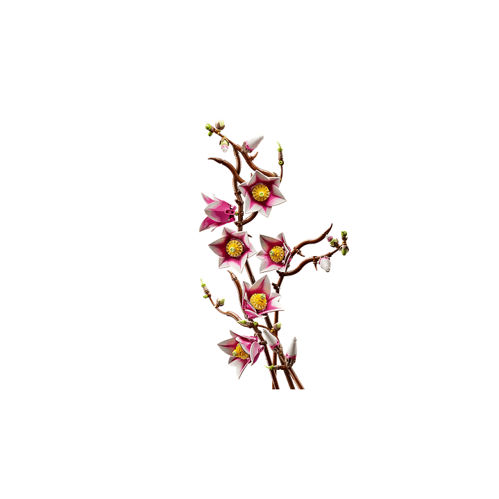 (PREVENTA) LEGO: Botanicals - Ramas de Magnolia 3