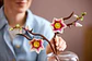 LEGO: Botanicals - Ramas de Magnolia - Miniatura 15