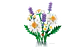 LEGO BOTANICALS - Margaritas (11508) - Miniatura 3
