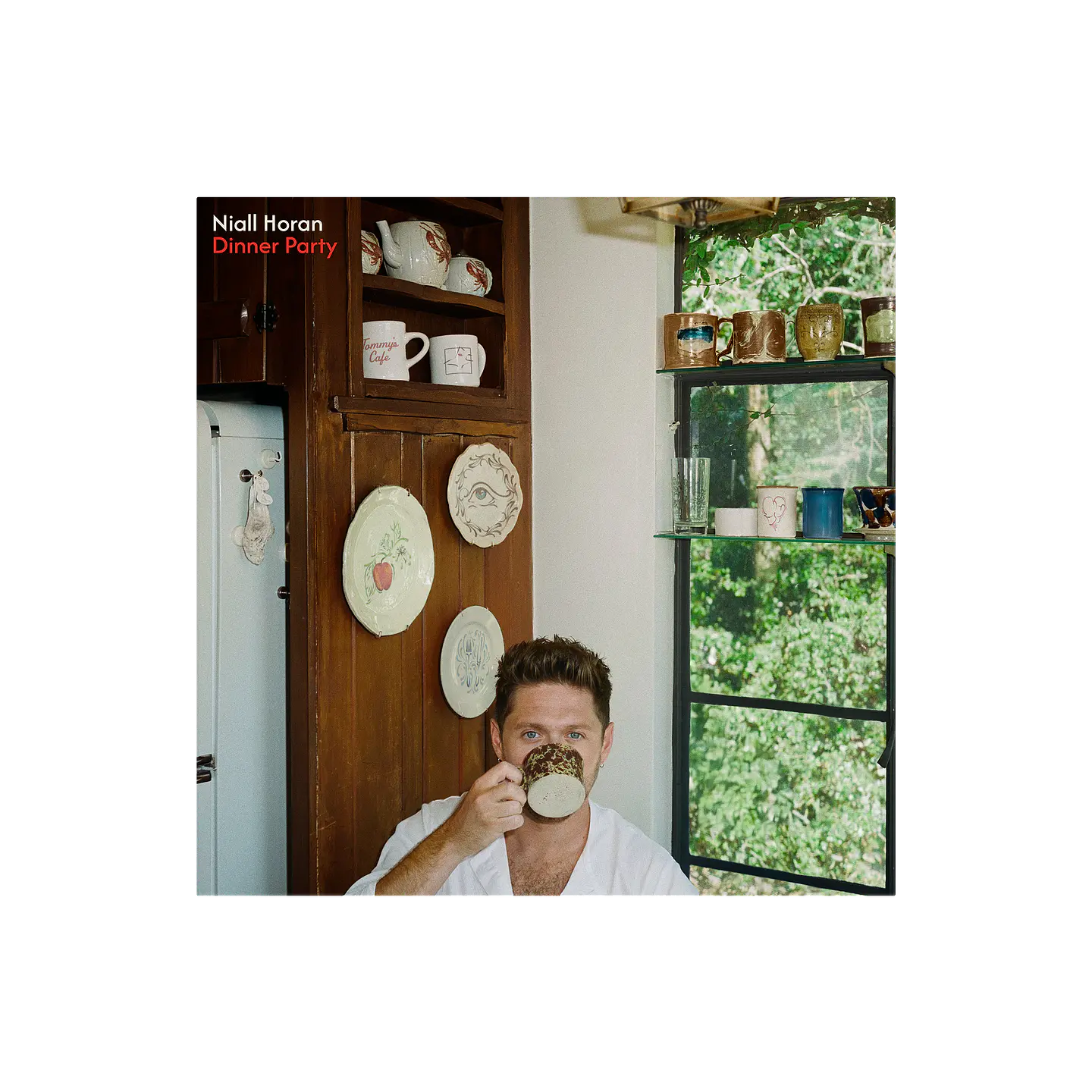 (PREVENTA) Niall Horan - Dinner Party - Vinilo (LP) Porcelain 5