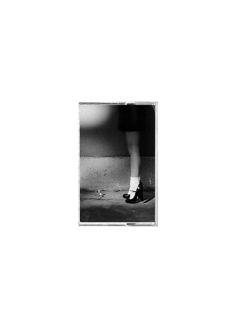 (PREVENTA) Ariana Grande - petal - Cassette Recycled Black