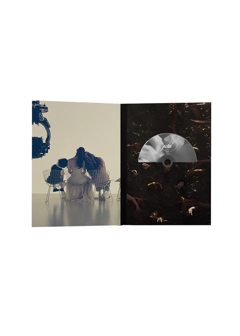 (PREVENTA) Ariana Grande - Petal - CD Zine Tour Edición Limitada 2