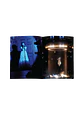 (PREVENTA) Ariana Grande - Petal - CD Zine Tour Edición Limitada - Miniatura 3