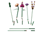 LEGO - Botanical Collection - Ramo de Flores (10280) - Miniatura 17