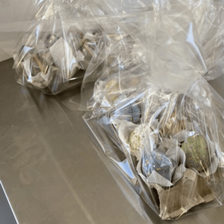 Taller de chocolatería: Huevos de Pascua 21