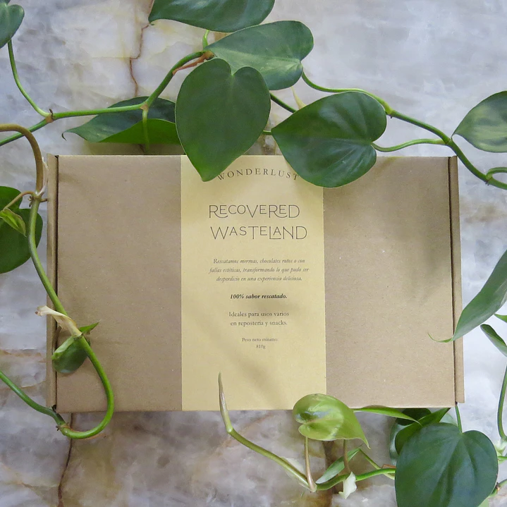 Recovered Wasteland | 810 gr 1