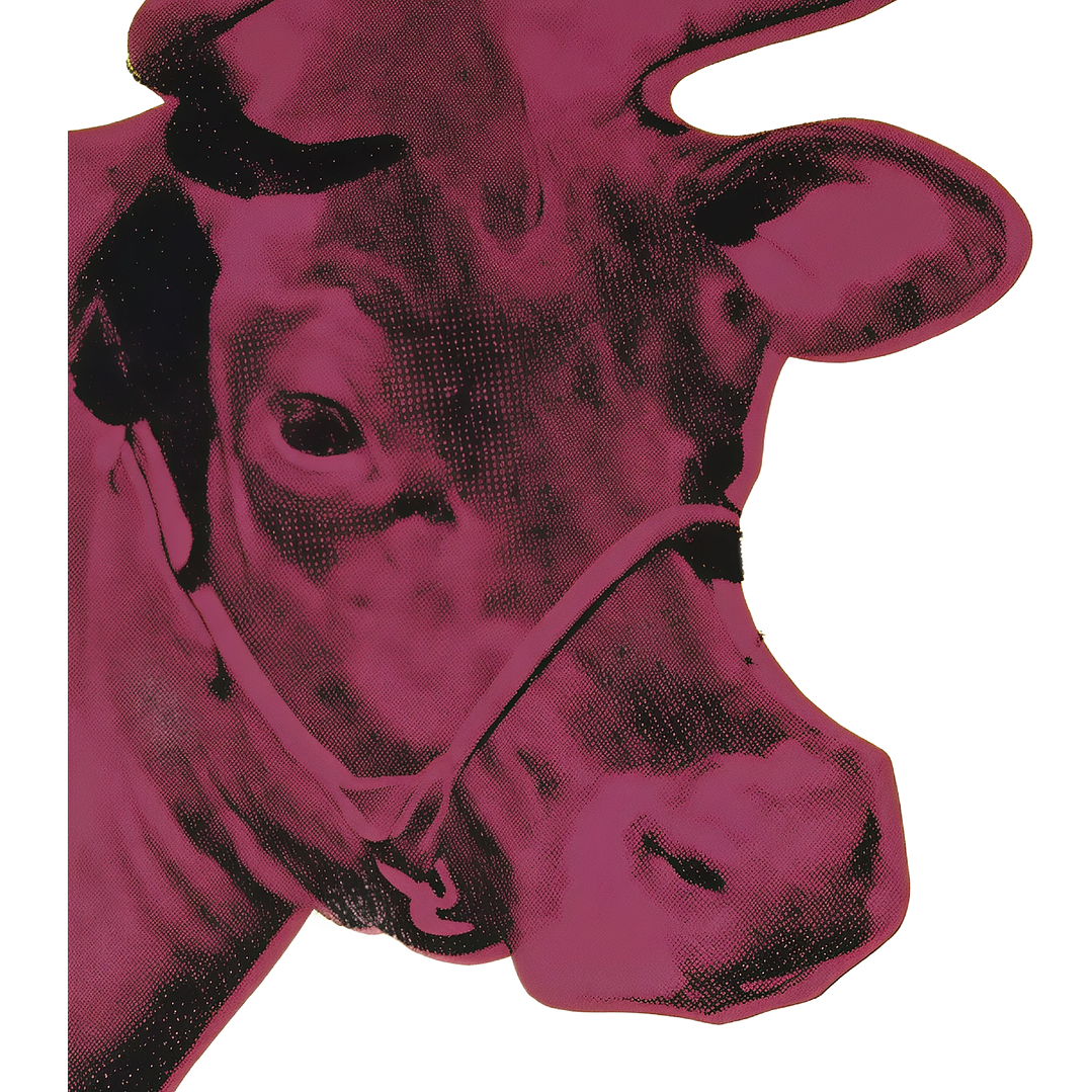 T-shirt woooow cow 2