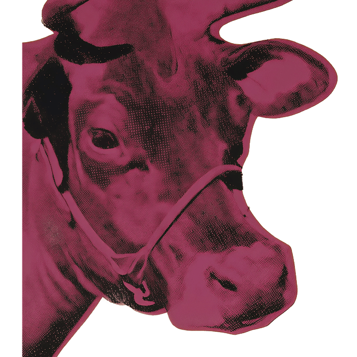 T-shirt woooow cow 2