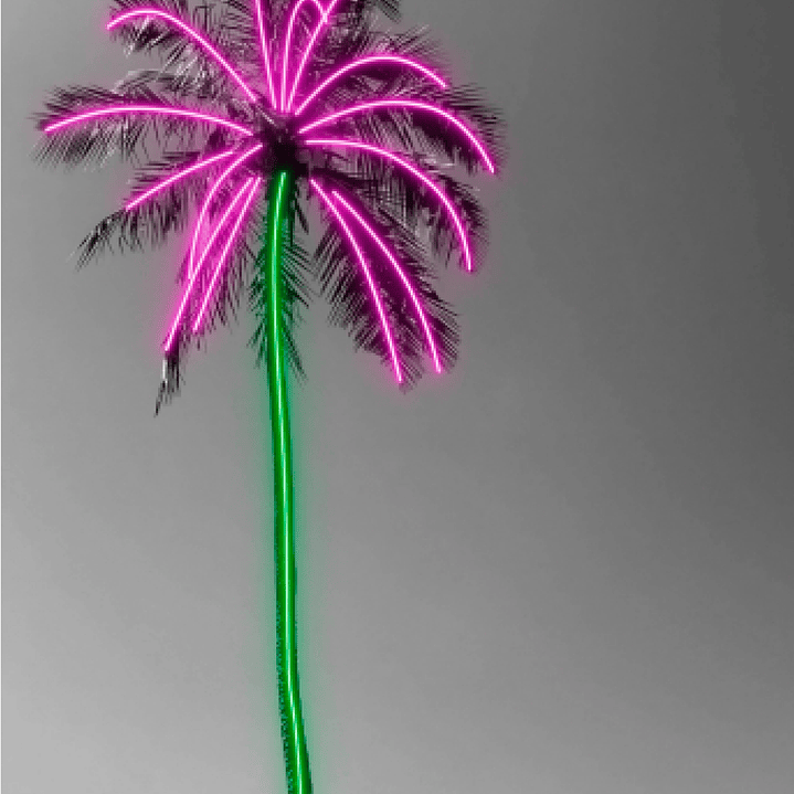 Quadro decorativo neon palmeira rio de janeiro 2