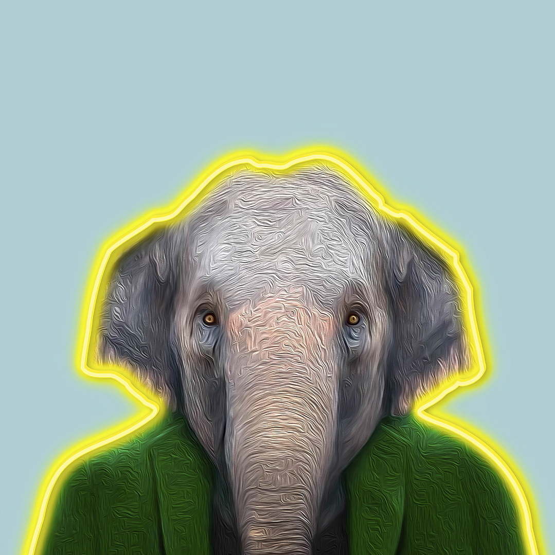 Quadro decorativo neon elefante 2