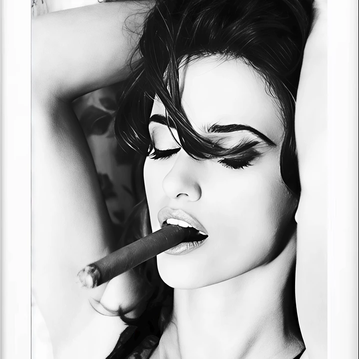 Quadro decorativo penélope 2