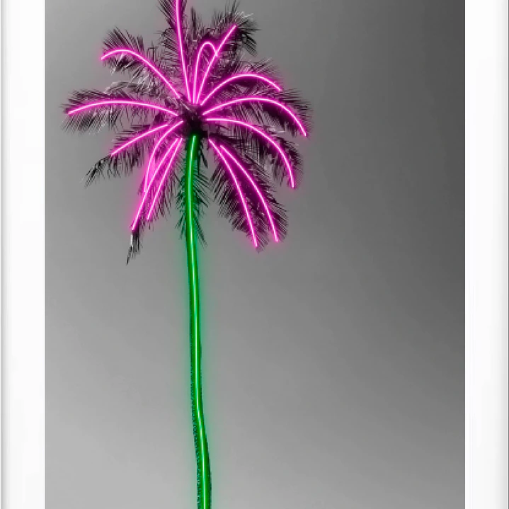 Quadro decorativo pameira 2