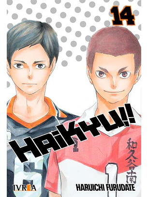 HAIKYU!! 14 - IVREA ARG