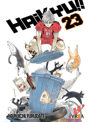 HAIKYU!! 23  - IVREA ARG