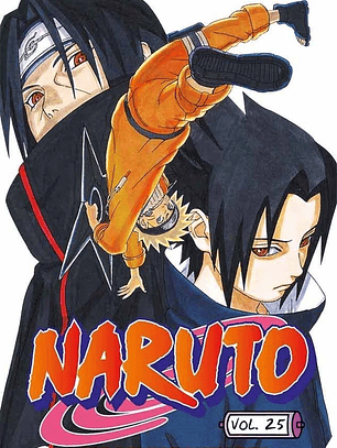 NARUTO 25 - PANINI ARG