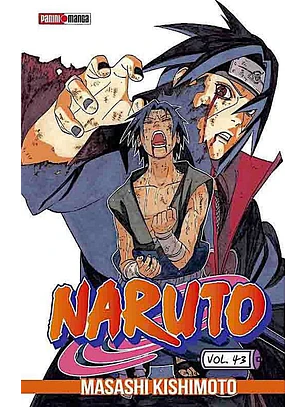 NARUTO 43 - PANINI ARG 