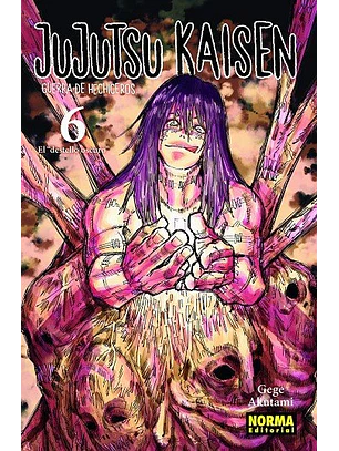 JUJUTSU KAISEN 06 - NORMA