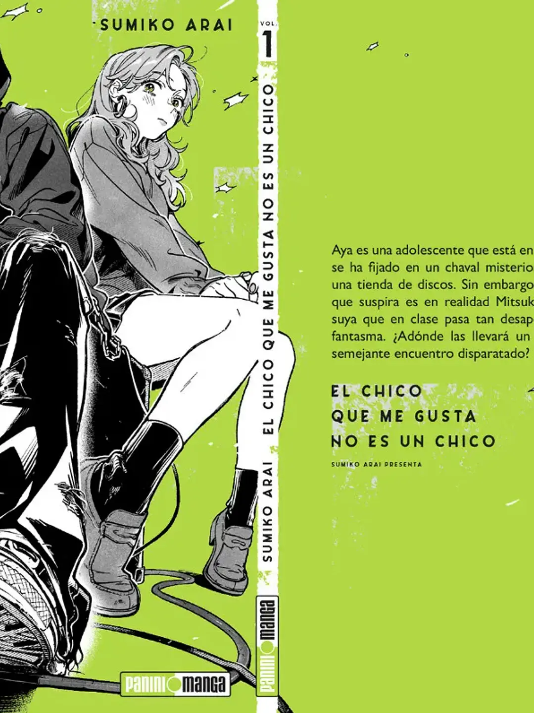 EL CHICO QUE ME GUSTA NO ES UN CHICO #01 - PANINI ESP 2