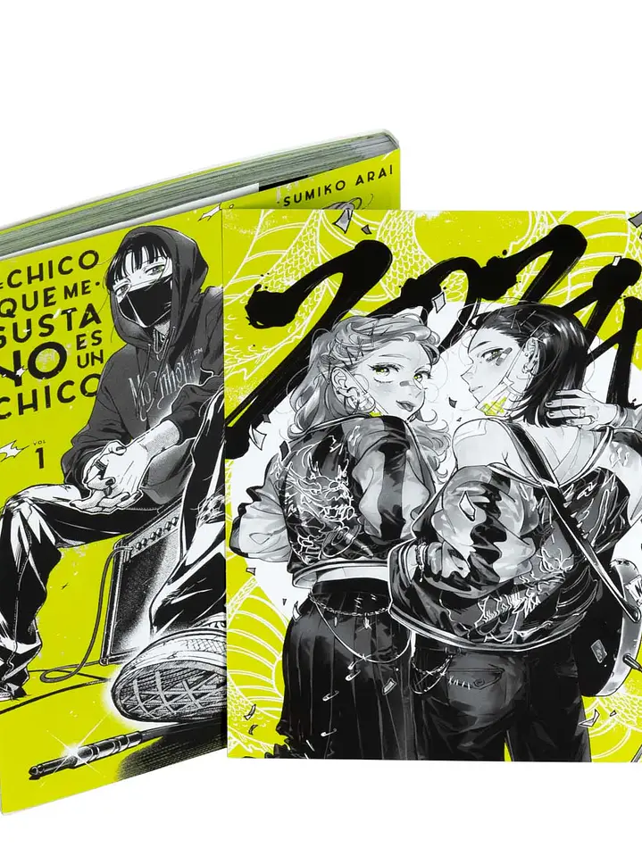 EL CHICO QUE ME GUSTA NO ES UN CHICO #01 - PANINI ESP 3