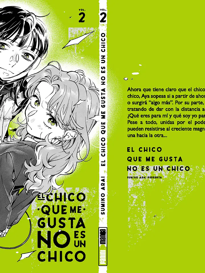 EL CHICO QUE ME GUSTA NO ES UN CHICO #02 - PANINI ESP 2