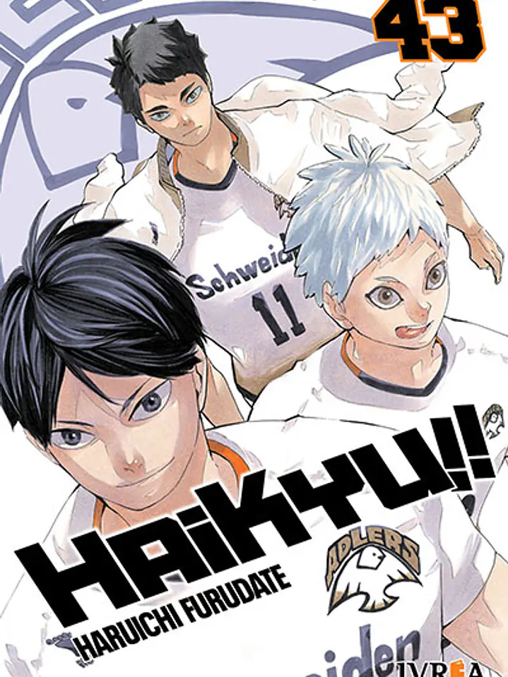 HAIKYU!! 43 - IVREA ARG 1