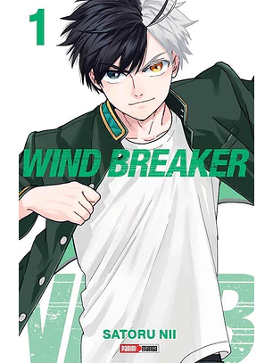 WIND BREAKER 01 - PANINI ARG