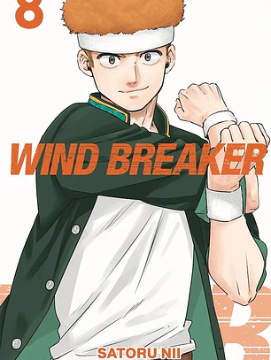 WIND BREAKER 08 - PANINI ARG