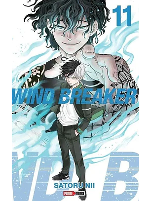 WIND BREAKER 11 - PANINI ARG