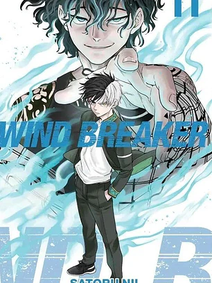 WIND BREAKER 11 - PANINI ARG