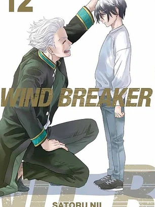 WIND BREAKER 12 - PANINI ARG