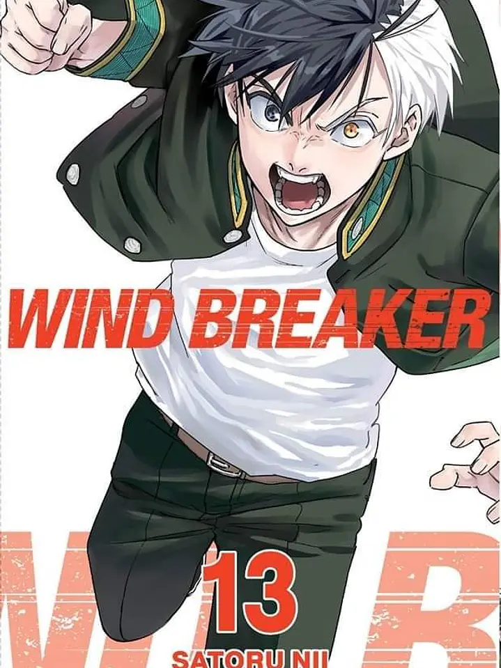 WIND BREAKER 13 - PANINI ARG 1