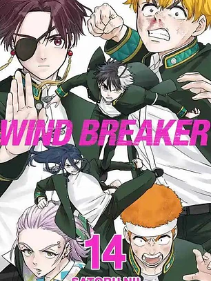 WIND BREAKER 14 - PANINI ARG