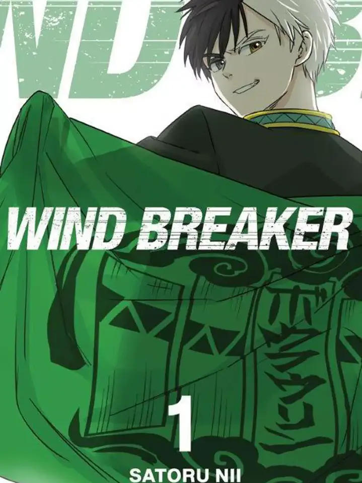 WIND BREAKER 01 VARIANTE - PANINI ARG 1