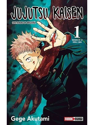 JUJUTSU KAISEN 01 - PANINI ARG