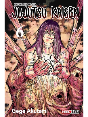 JUJUTSU KAISEN 06 - PANINI ARG