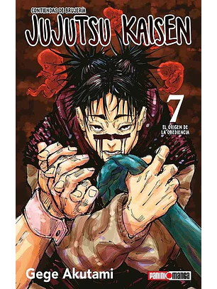 JUJUTSU KAISEN 07 - PANINI ARG