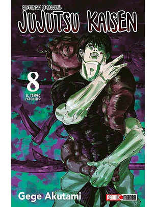 JUJUTSU KAISEN 08 - PANINI ARG