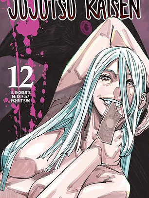 JUJUTSU KAISEN 12 - PANINI ARG