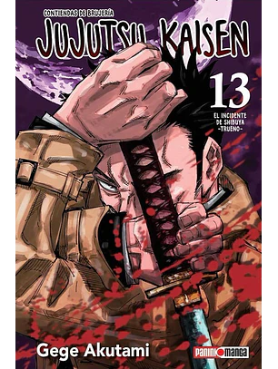 JUJUTSU KAISEN 13 - PANINI ARG