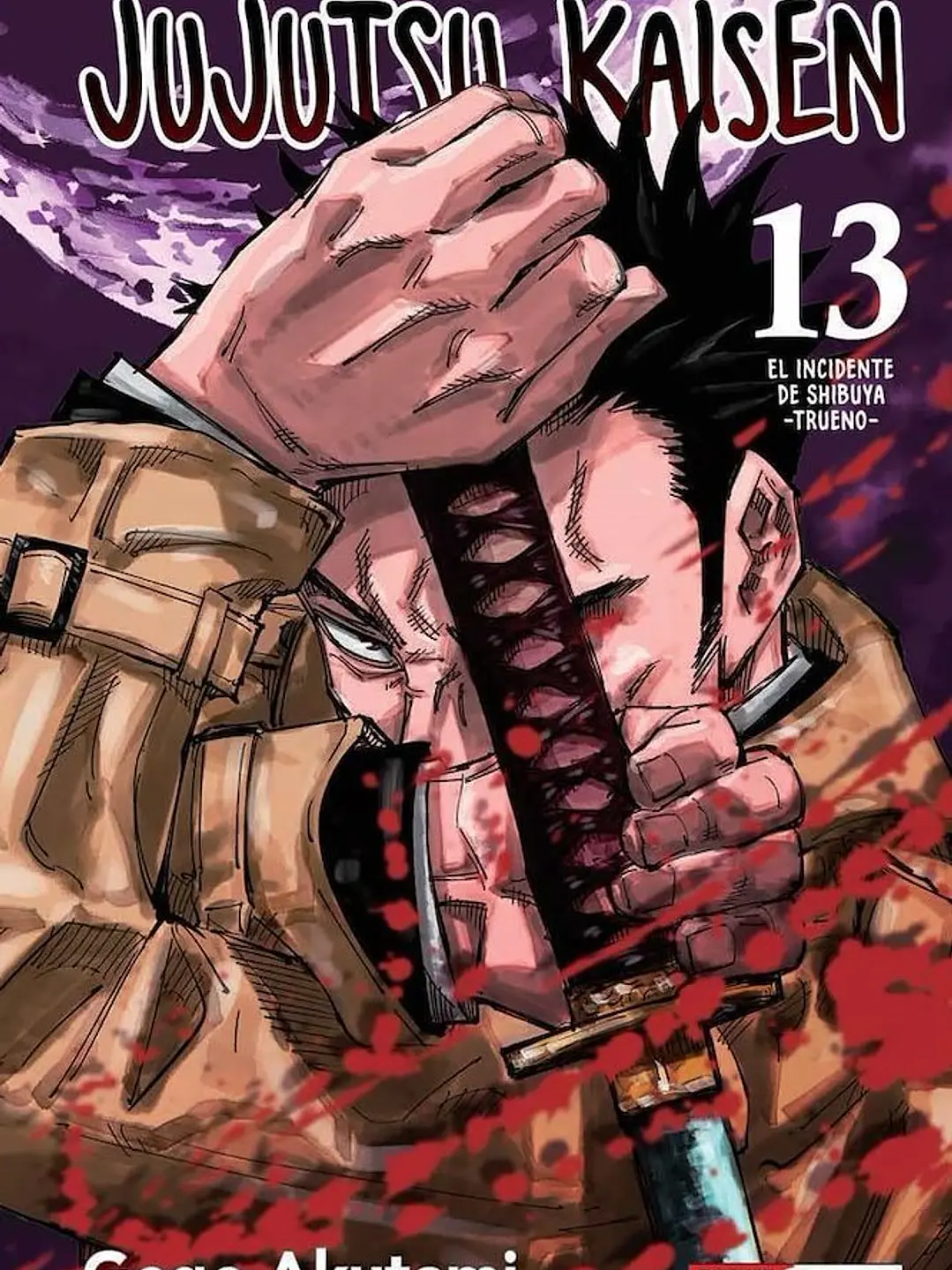 JUJUTSU KAISEN 13 - PANINI ARG 1