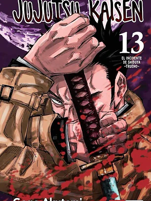 JUJUTSU KAISEN 13 - PANINI ARG