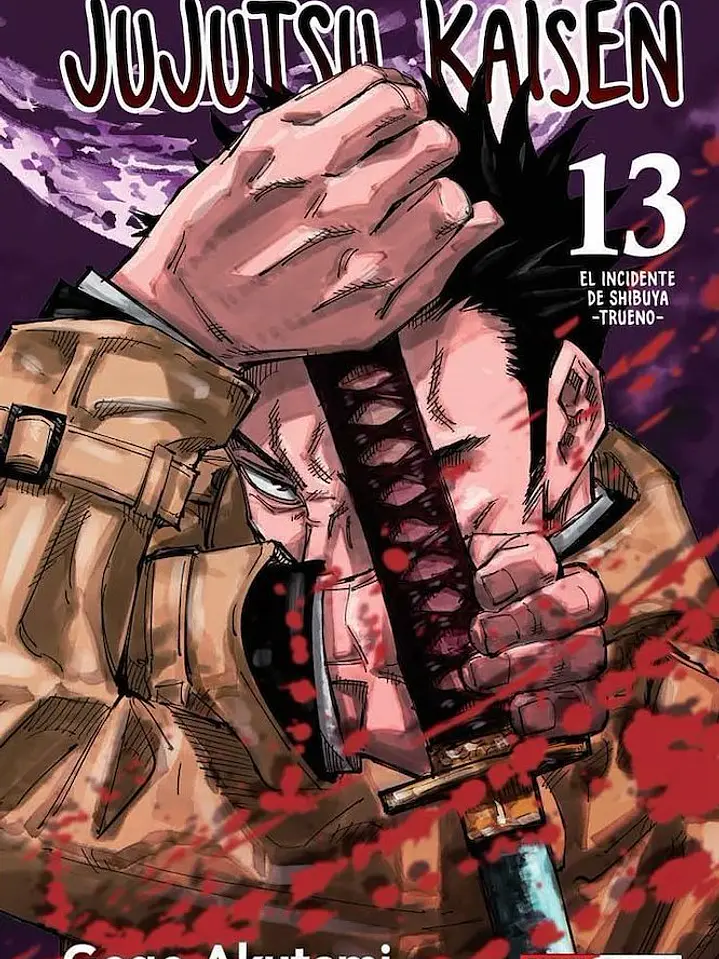 JUJUTSU KAISEN 13 - PANINI ARG 1
