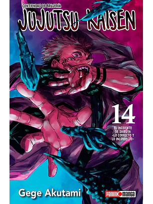 JUJUTSU KAISEN 14 - PANINI ARG