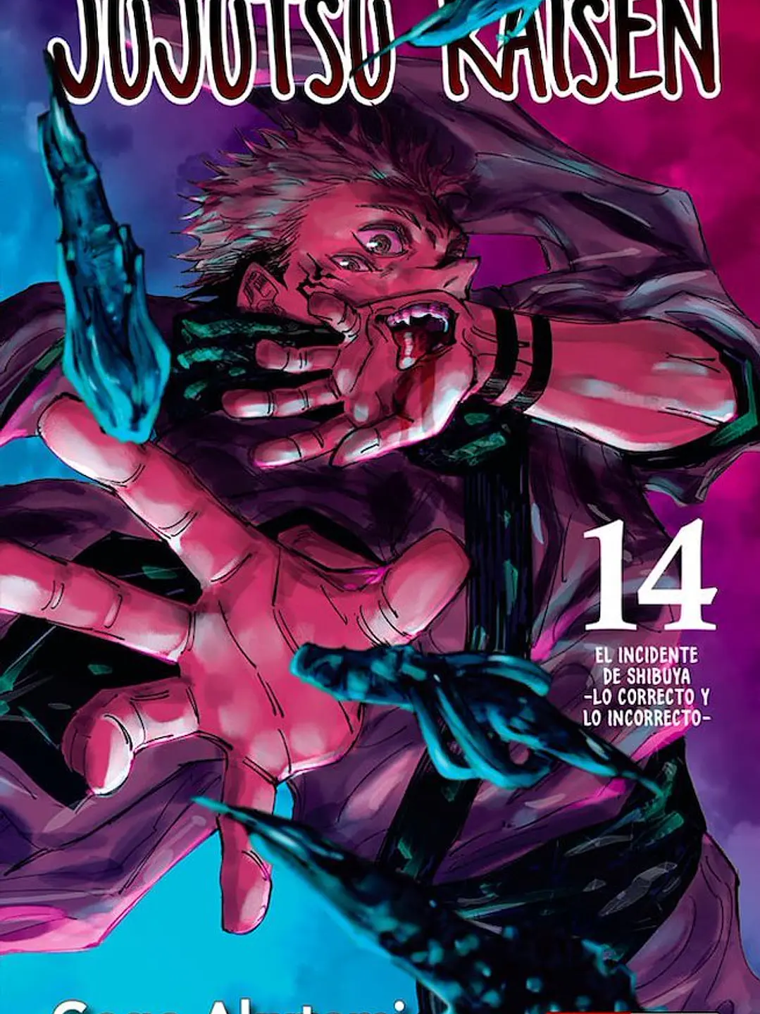 JUJUTSU KAISEN 14 - PANINI ARG 1