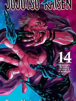 JUJUTSU KAISEN 14 - PANINI ARG
