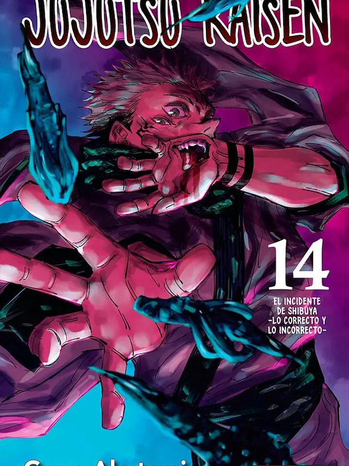 JUJUTSU KAISEN 14 - PANINI ARG 1