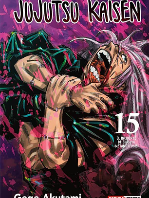 JUJUTSU KAISEN 15 - PANINI ARG