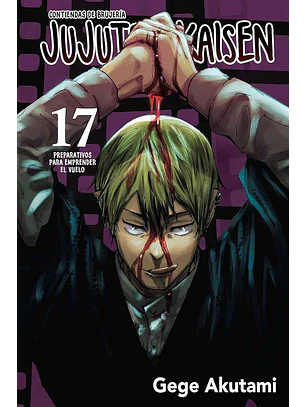 JUJUTSU KAISEN 17 - PANINI ARG