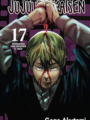 JUJUTSU KAISEN 17 - PANINI ARG